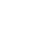 Paint Protection Film (PPF) Icon